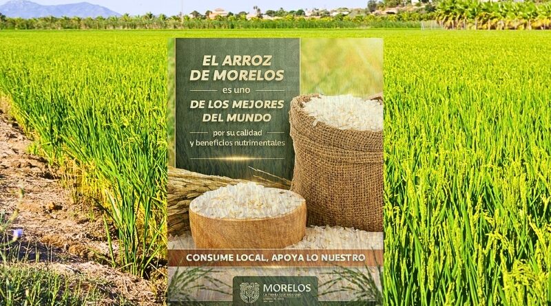 En 2012, el arroz de Morelos obtuvo la Denominación de Origen, certificando su calidad y relevancia cultural y económica en la identidad alimentaria de los morelenses.
