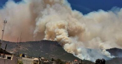 La grave crisis ambiental desatada por múltiples incendios forestales incontrolables sumerge al estado en una atmósfera irrespirable, amenazando ecosistemas clave y la salud de la población.