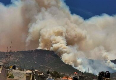 La grave crisis ambiental desatada por múltiples incendios forestales incontrolables sumerge al estado en una atmósfera irrespirable, amenazando ecosistemas clave y la salud de la población.