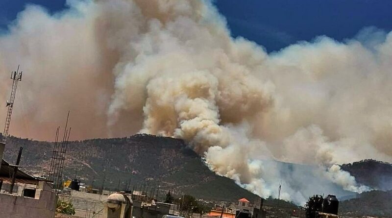 La grave crisis ambiental desatada por múltiples incendios forestales incontrolables sumerge al estado en una atmósfera irrespirable, amenazando ecosistemas clave y la salud de la población.