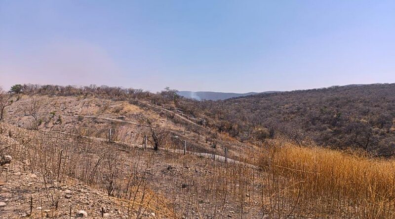 Tras los devastadores incendios, habitantes de Tlaltizapán en Morelos buscan proteger todos los cerros como zonas naturales para preservar la biodiversidad.