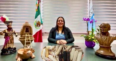 Una iniciativa legislativa busca prohibir cultivos transgénicos y reconocer al maíz criollo como patrimonio biocultural para asegurar la soberanía alimentaria.