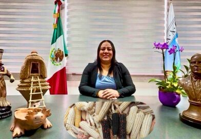Una iniciativa legislativa busca prohibir cultivos transgénicos y reconocer al maíz criollo como patrimonio biocultural para asegurar la soberanía alimentaria.