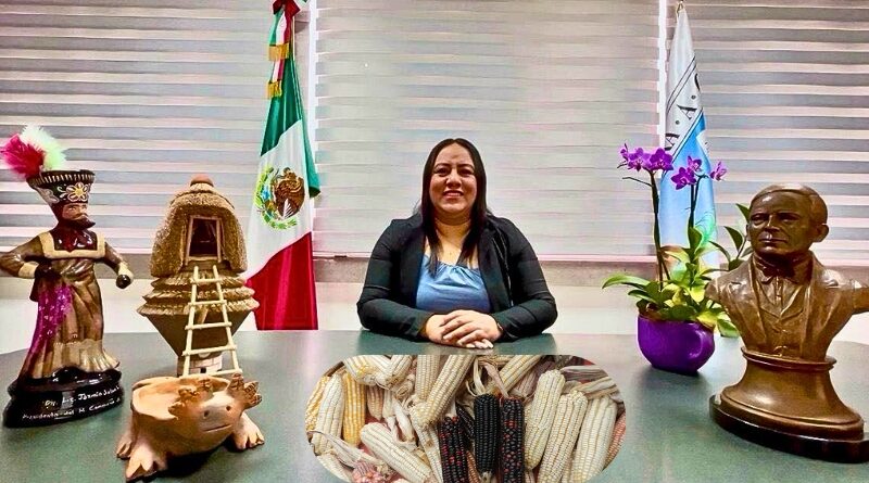 Una iniciativa legislativa busca prohibir cultivos transgénicos y reconocer al maíz criollo como patrimonio biocultural para asegurar la soberanía alimentaria.
