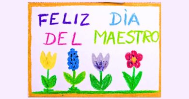 Este 15 de mayo, México celebra a quienes con vocación y entrega transforman vidas desde las aulas y construyen el porvenir del país con educación.