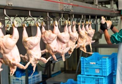 La suspensión preventiva responde a un foco de gripe aviar en una granja de Brasil; Sader asegura que no hay riesgo para el consumo en territorio nacional.