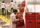 La gobernadora Margarita González anunció en Ocuituco la creación de un comité estratégico que impulsará la exportación de aguacate morelense a EE.UU.